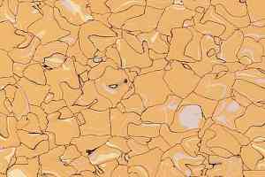 Кварцвиниловые полы Forbo Colorex EC EC 250219 assuan фото  | FLOORDEALER